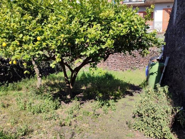 Terreno in vendita a Nicolosi, Sicilia