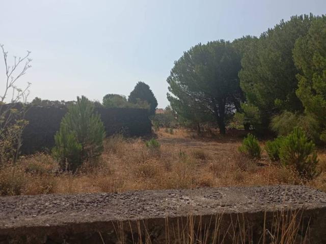 Terreno in vendita a Ragala, Nicolosi