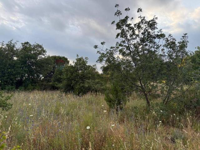 Terreno in vendita a Nicolosi, Sicilia