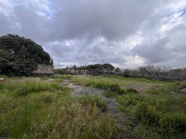 Terreno in vendita a Ragala, Nicolosi
