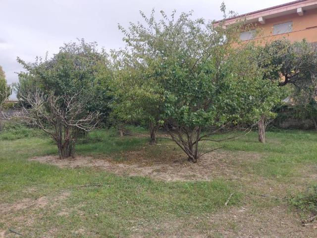 Terreno in vendita a Calabria, Vibo Valentia