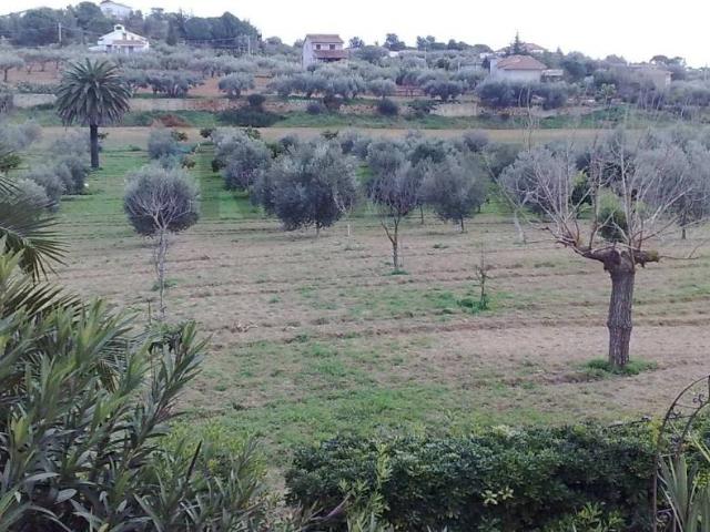 Terreno in vendita a Niscemi, Sicilia