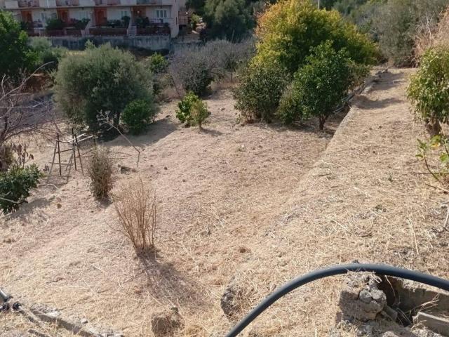 Terreno in vendita a Nizza Di Sicilia, Sicilia