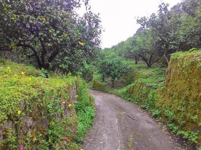 Terreno in vendita a Roccalumera, Sicilia
