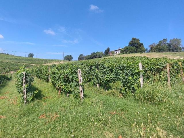 Terreno in vendita a Piemonte, Asti