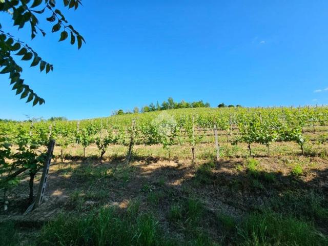 Terreno in vendita a Piemonte, Asti