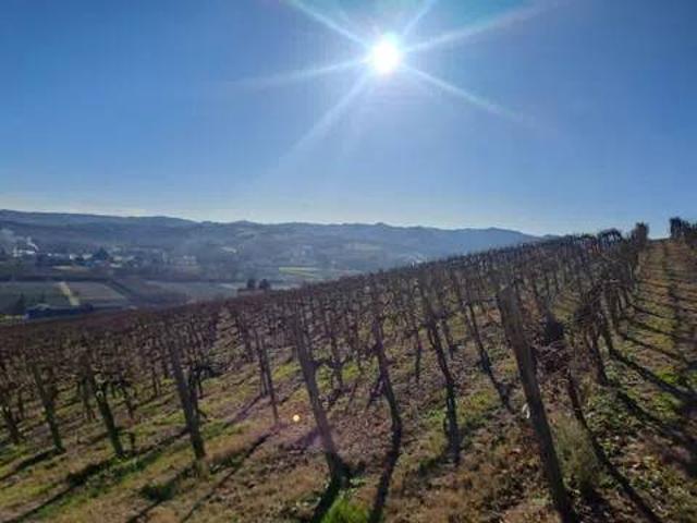 Terreno in vendita a Piemonte, Asti
