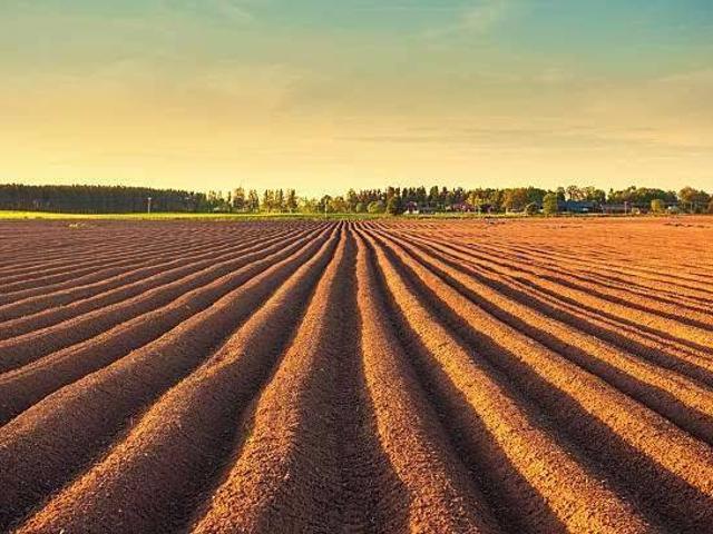 Terreno in vendita a Noale, Veneto