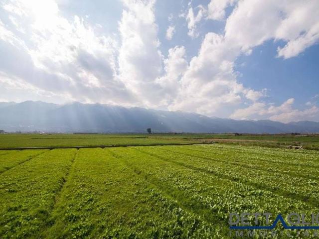 Terreno in vendita a Noale, Veneto