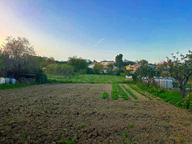 Terreno in vendita a Nocciano, Abruzzo
