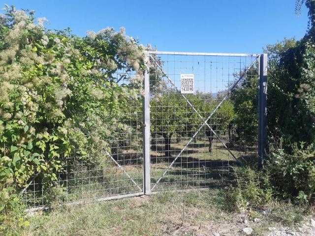 Terreno in vendita a Nocera Inferiore, Campania