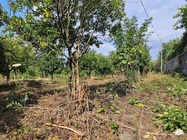 Terreno in vendita a Nocera Inferiore, Campania