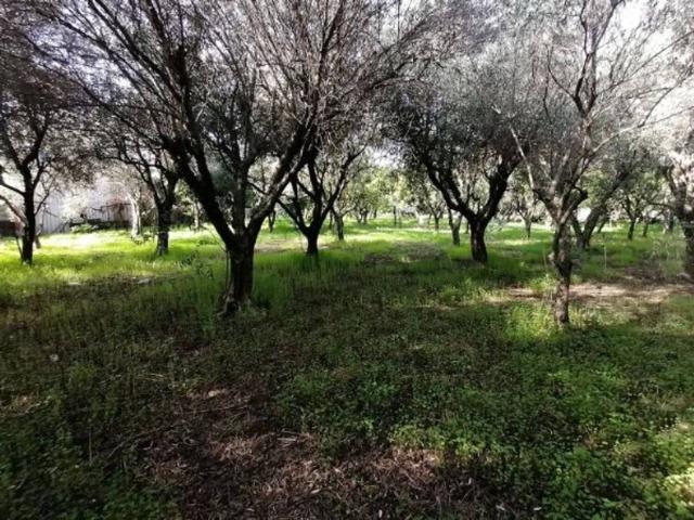 Terreno in vendita a Piedimonte, Nocera Inferiore