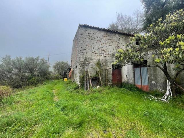 Terreno in vendita a Calabria, Catanzaro