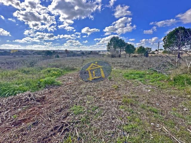 Terreno in vendita a Puglia, Bari