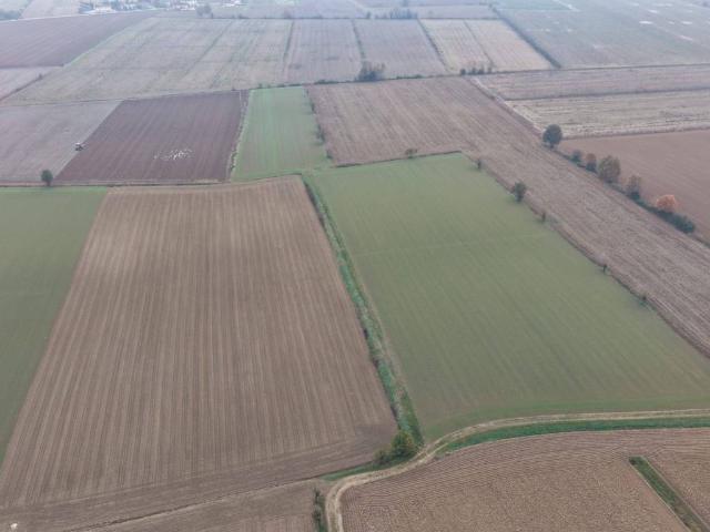 Terreno in vendita a Nogara, Veneto