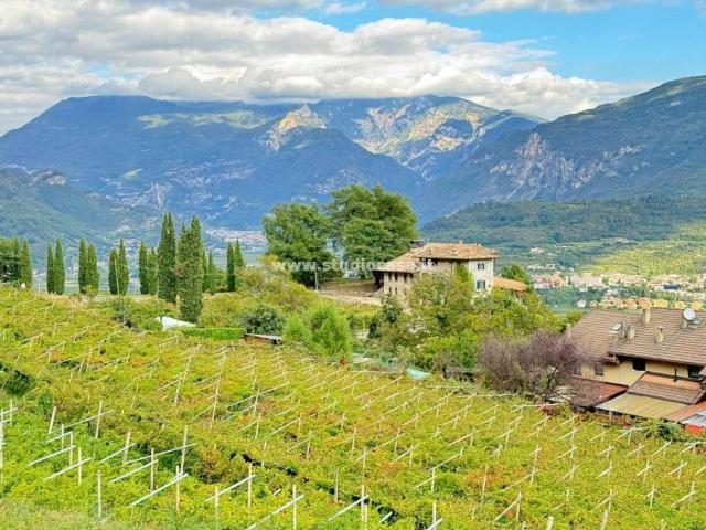 Terreno in vendita a Comunità della Vallagarina, Nogaredo