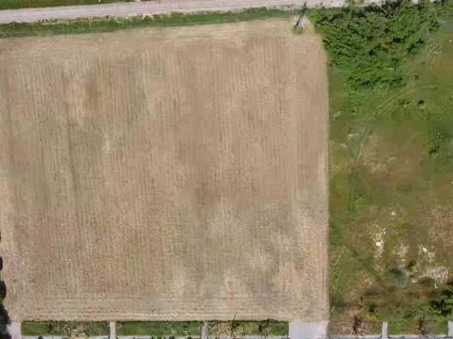 Terreno in vendita a Nogarole Rocca, Veneto