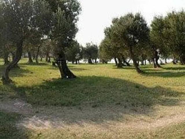 Terreno in vendita a Puglia, Bari