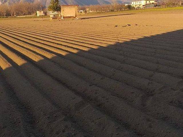 Terreno in vendita a Nola, Campania