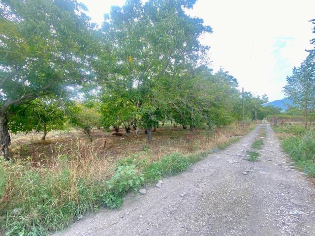 Terreno in vendita a Nola, Campania