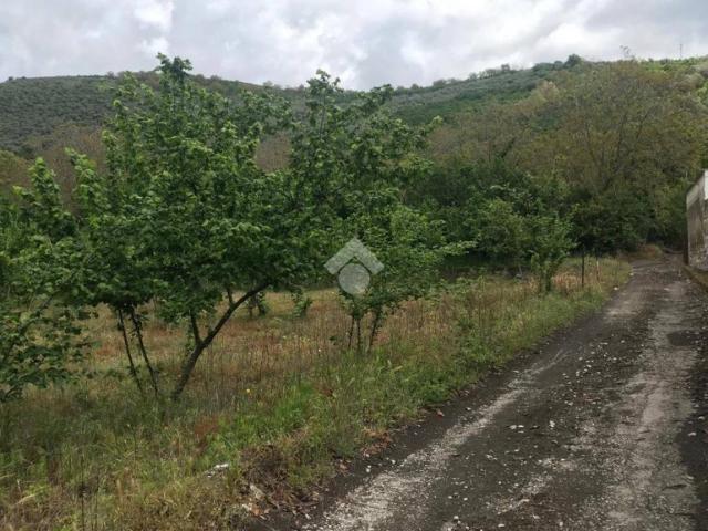Terreno in vendita a Nola, Campania