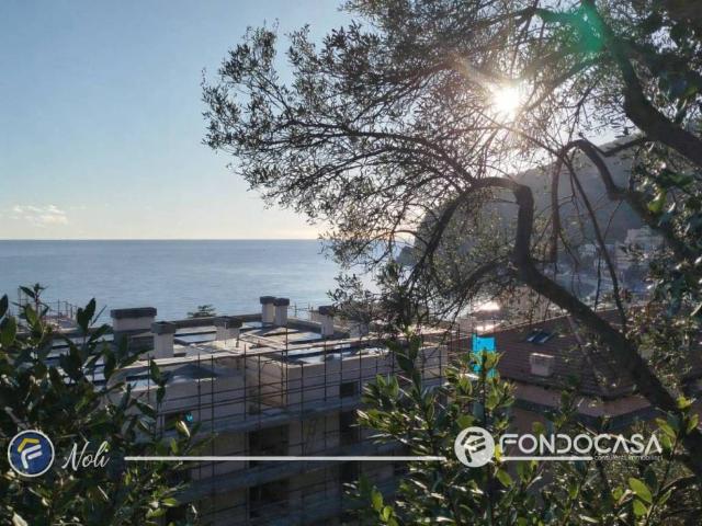 Terreno in vendita a Noli, Liguria