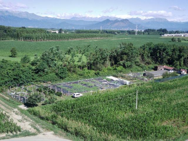 Terreno in vendita a Piemonte, Torino