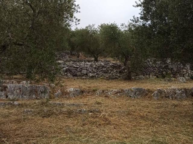 Terreno in vendita a Norma, Lazio
