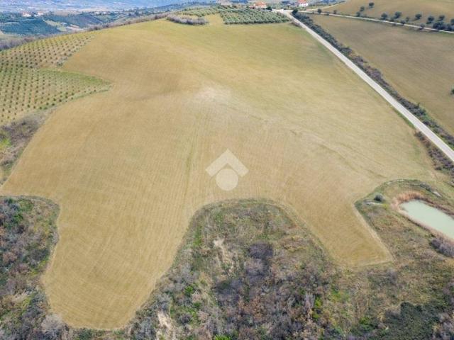 Terreno in vendita a Notaresco, Abruzzo