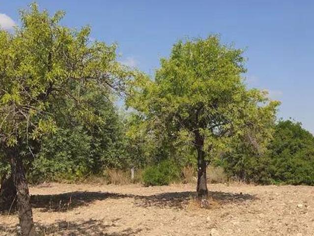 Terreno in vendita a Rosolini, Siracusa