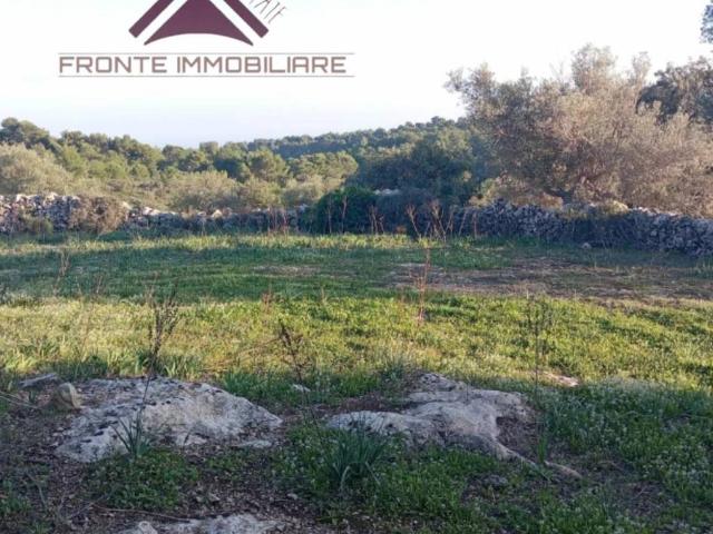 Terreno in vendita a Noto, Sicilia