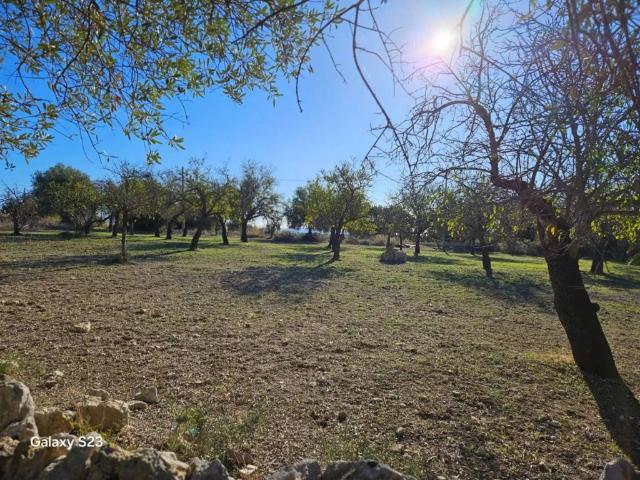 Terreno in vendita a Lido di Noto, Noto