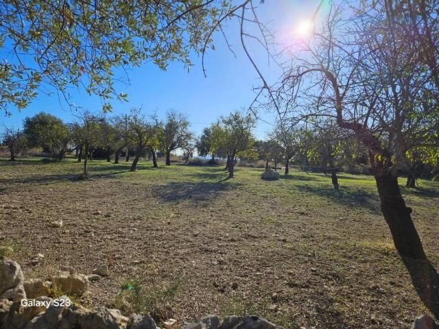 Terreno in vendita a Lido di Noto, Noto