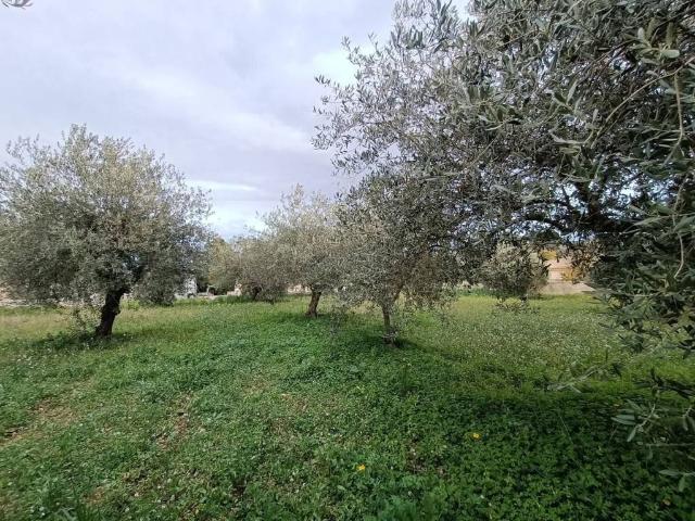 Terreno in vendita a Contrada Lenzavacche, Noto