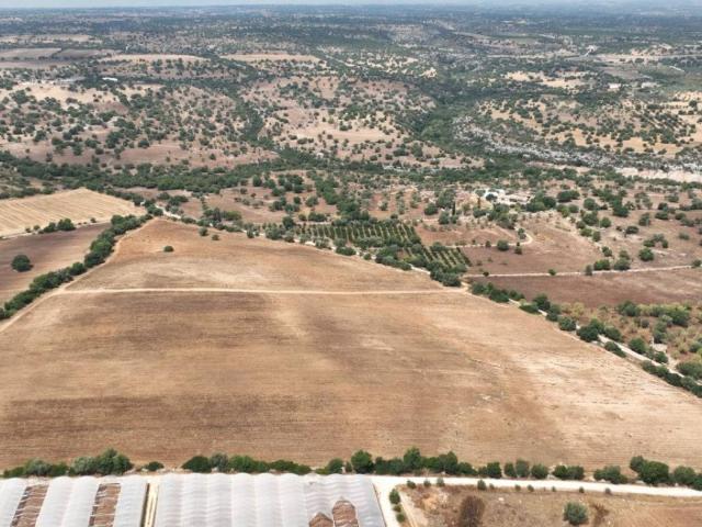 Terreno in vendita a Noto, Sicilia