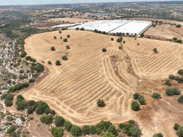 Terreno in vendita a Noto, Sicilia