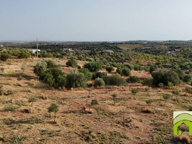 Terreno in vendita a Noto, Siracusa