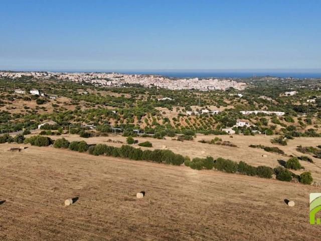 Terreno in vendita a Noto, Sicilia