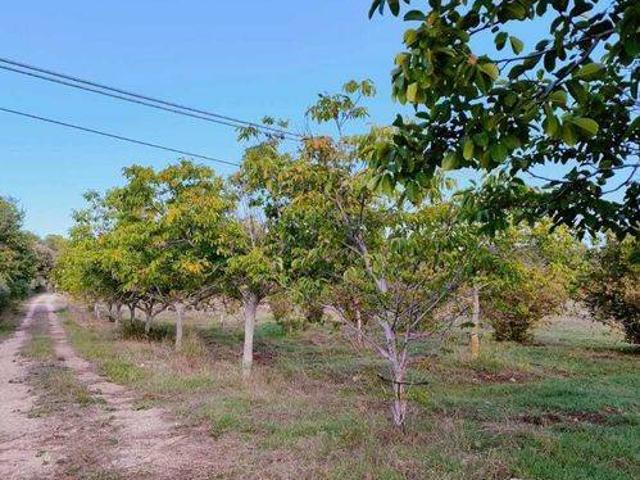 Terreno in vendita a Noto, Sicilia