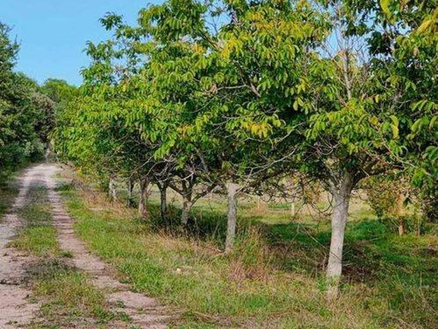 Terreno in vendita a Noto, Sicilia
