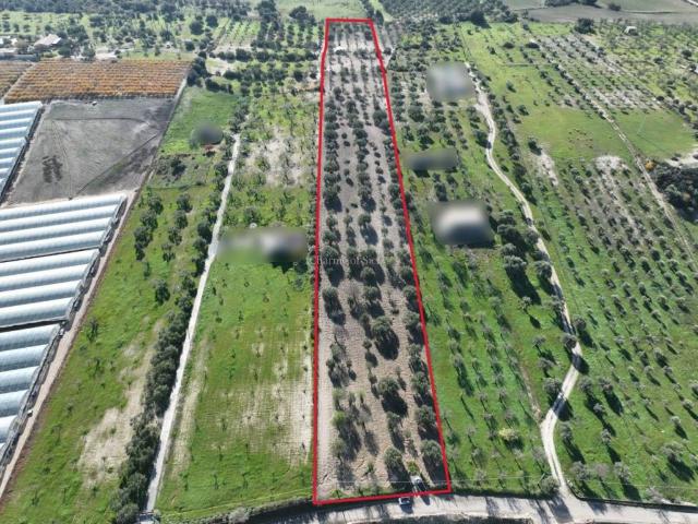 Terreno in vendita a Noto, Siracusa