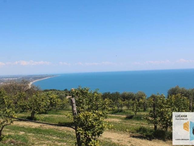 Terreno in vendita a Nova Siri, Basilicata