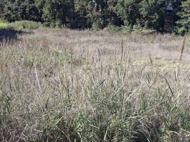 Terreno in vendita a Secchiano, Novafeltria