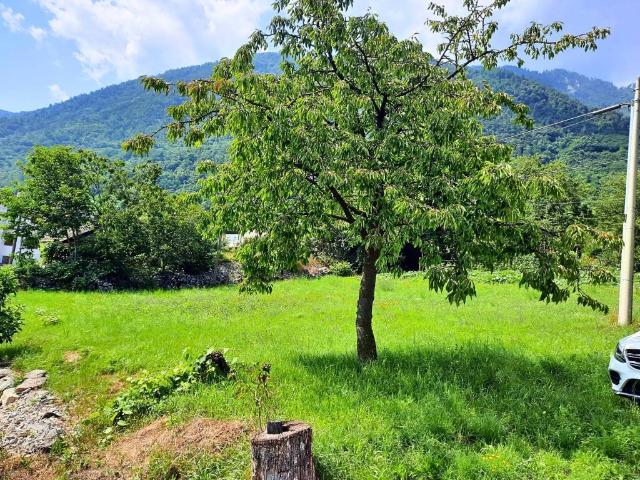 Terreno in vendita a Comunità Valsugana e Tesino, Novaledo