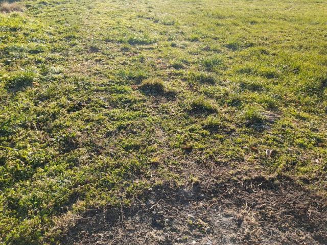 Terreno in vendita a Nove, Veneto