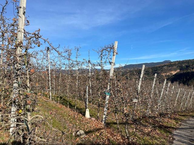 Terreno in vendita a Comunità della Val di Non, Novella