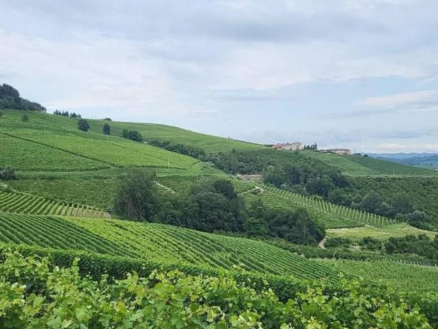 Terreno in vendita a Piemonte, Cuneo