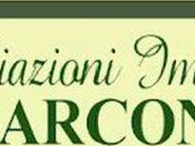 Terreno in vendita a Noventa Di Piave, Veneto