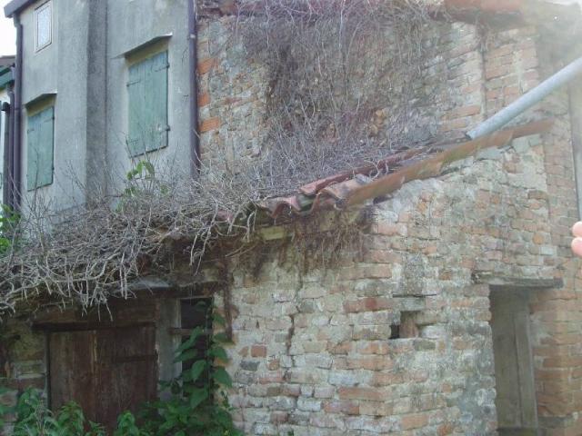 Terreno in vendita a Noventa Padovana, Padova